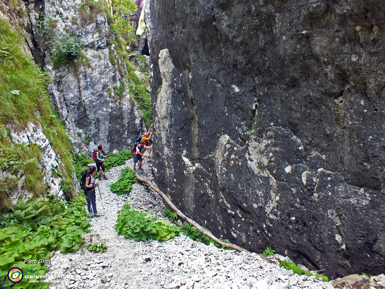 32 Arrampicatori in erba,,,.JPG